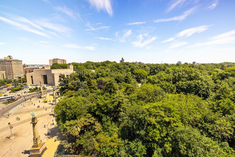 The view over Grand Army Plaza and Prospect Park at One Prospect Park West, PHC, Park Slope — photo 2 of 9