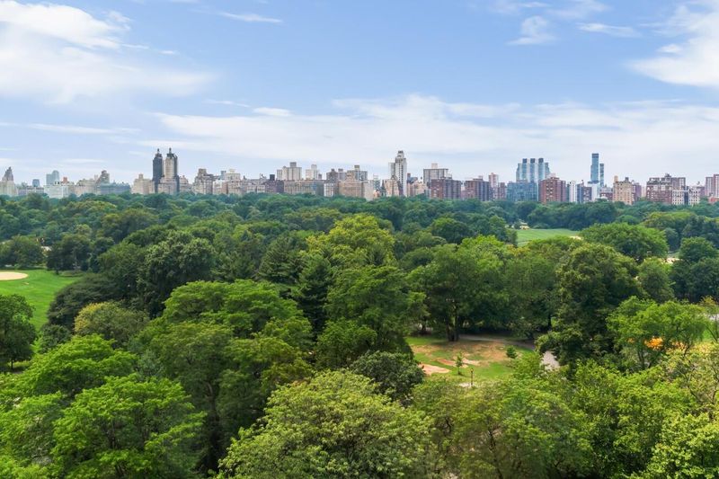 Park canopy and skyline at 1200 Fifth Avenue 15A, Carnegie Hill — photo 3 of 13