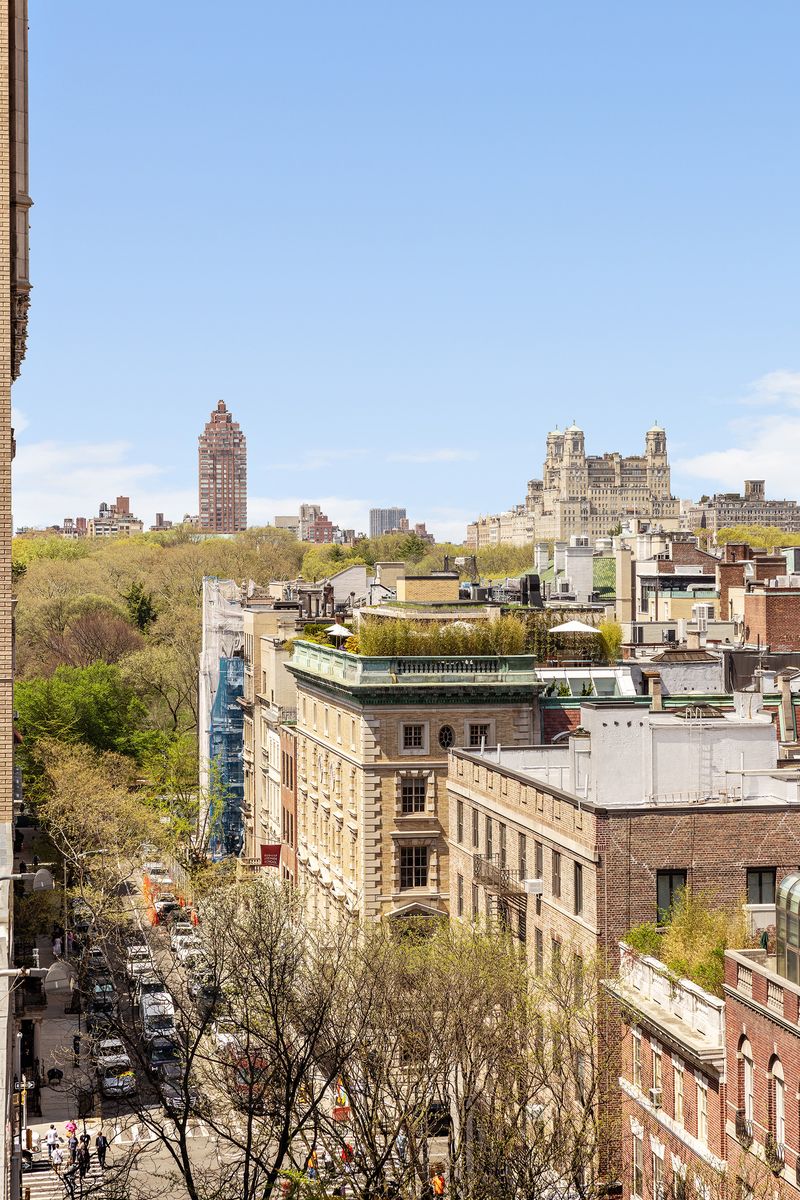 North-facing city and park outlook at 876 Park Avenue 9N, Upper East Side — photo 10 of 12