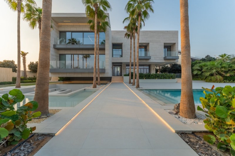 palm allée / reflecting water